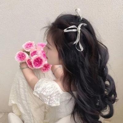 小迪克西